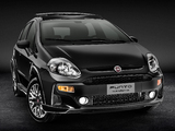 Fiat Punto BlackMotion (310) 2013 wallpapers