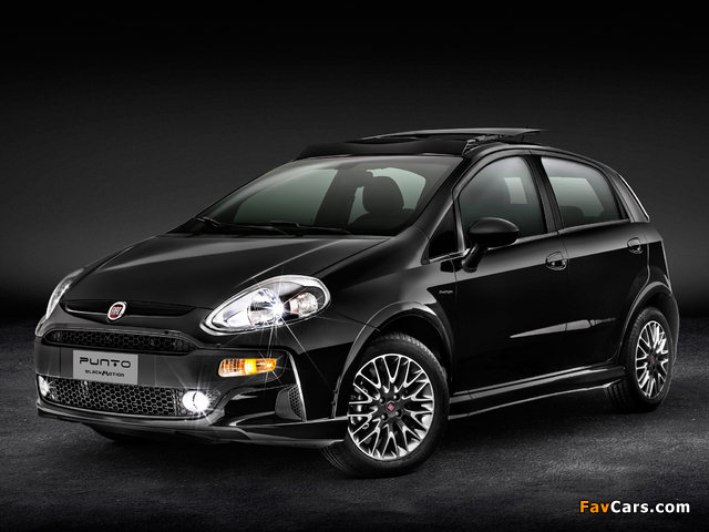 Pictures of Fiat Punto BlackMotion (310) 2013 (640 x 480)