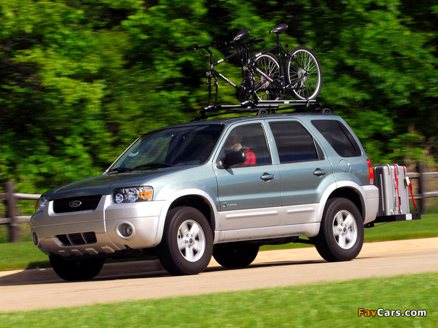 Ford Escape Hybrid 2004–07 pictures (640 x 480)