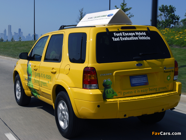Pictures of Ford Escape Hybrid Taxi 2005–07 (640 x 480)