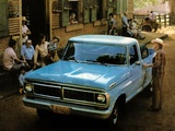 Ford F-100 BR-spec 1979 wallpapers