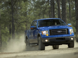 Ford F-150 FX4 2008–11 images