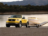 Images of Ford F-150 FX4 2004–05