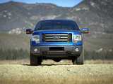 Images of Ford F-150 FX4 2008–11