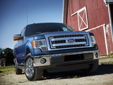 Images of Ford F-150 XLT 2012