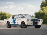 Shelby GT350R 1965 images