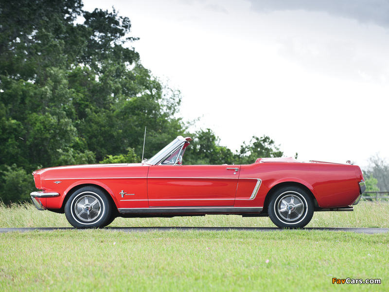 Mustang 289 Convertible 1965 pictures (800 x 600)