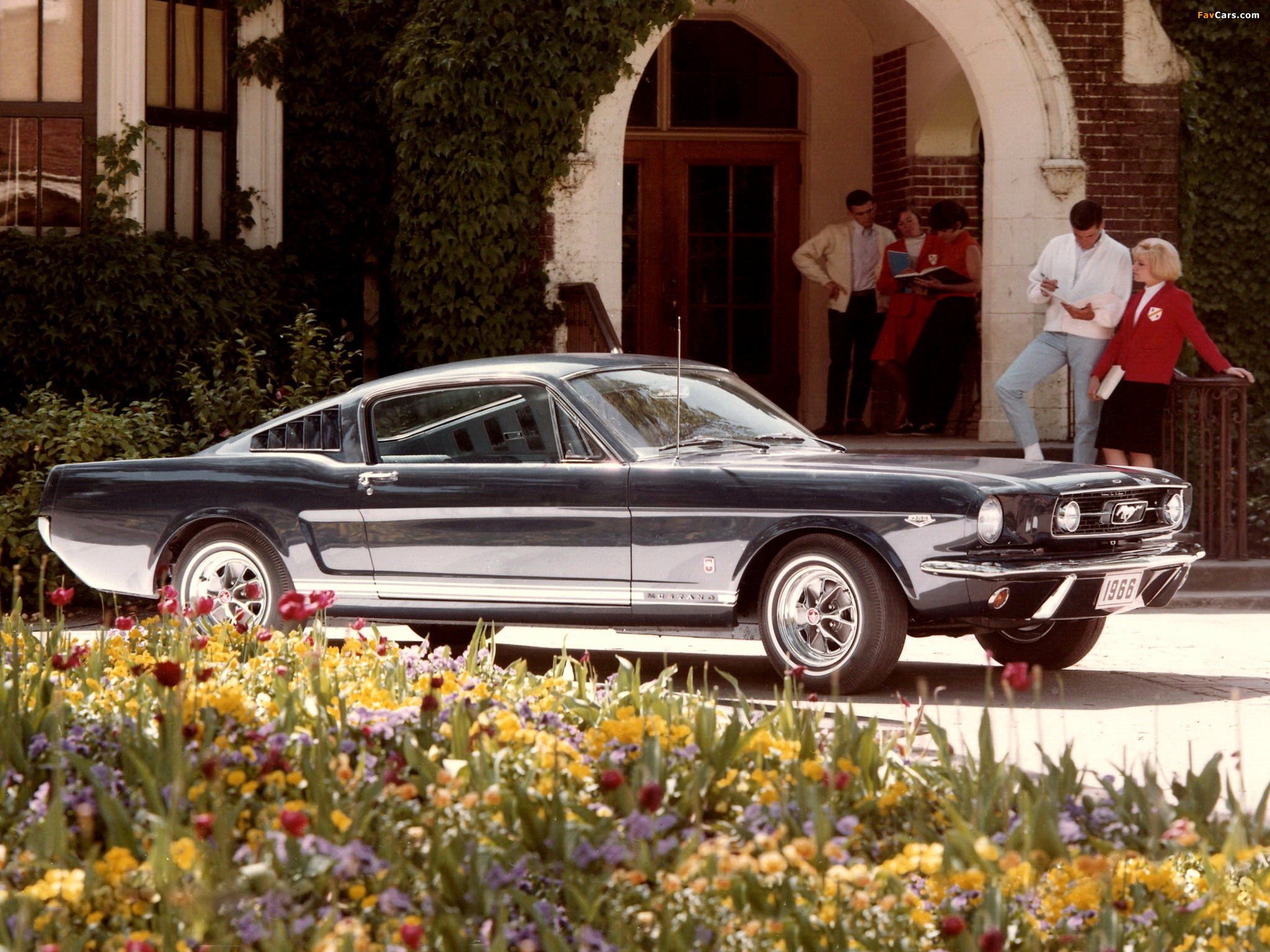Mustang GT Fastback 1966 photos (2048 x 1536)