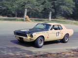 Mustang Coupe Race Car (65B) 1967 images