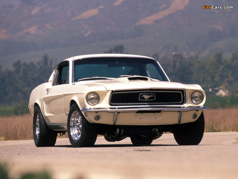 Mustang Fastback 1968 pictures (800 x 600)