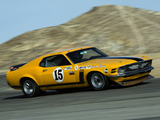Mustang Boss 302 Trans-Am Race Car 1970 images