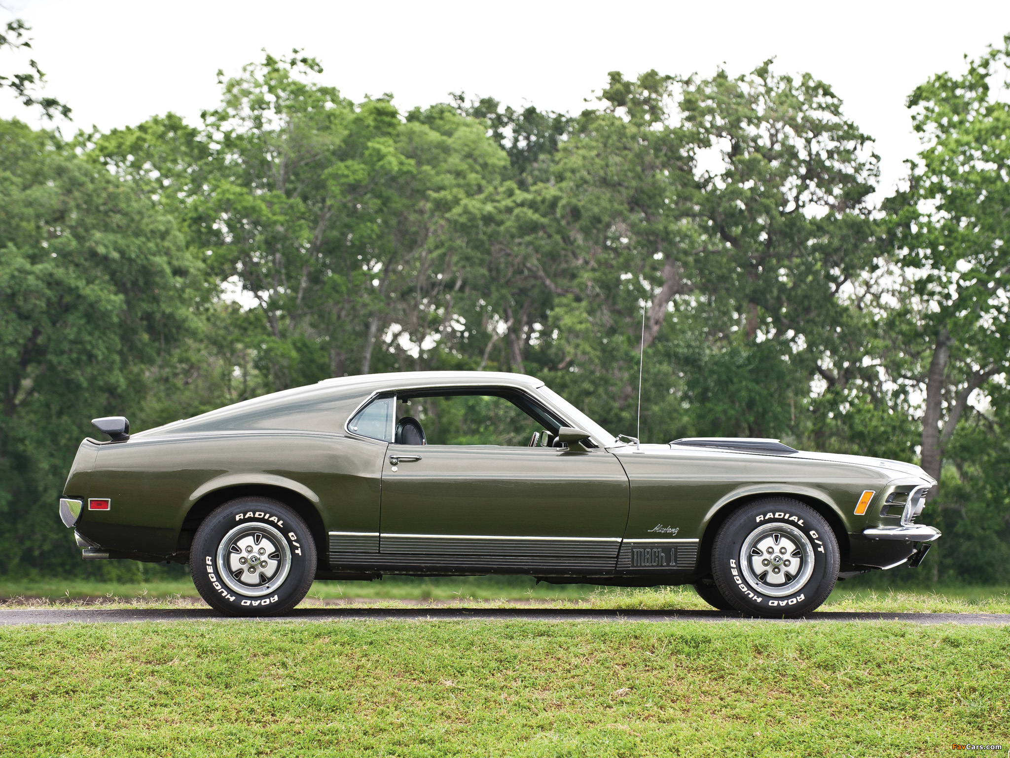 Mustang Mach 1 1970 photos (2048 x 1536)