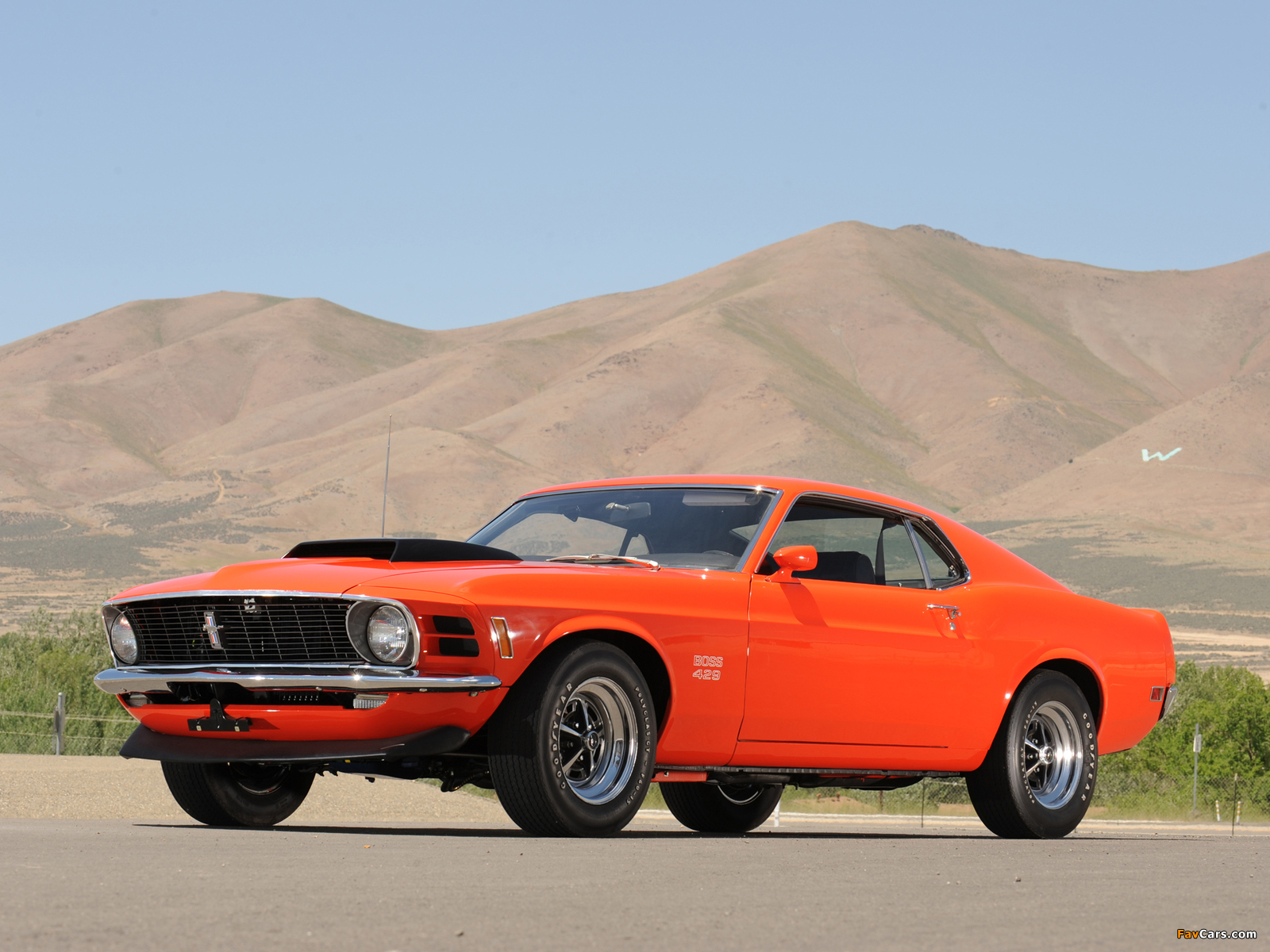 Mustang Boss 429 1970 pictures (1600 x 1200)