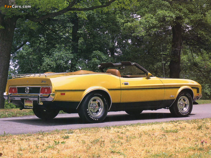 Mustang Convertible 1973 pictures (800 x 600)