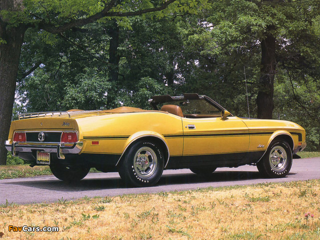 Mustang Convertible 1973 pictures (640 x 480)