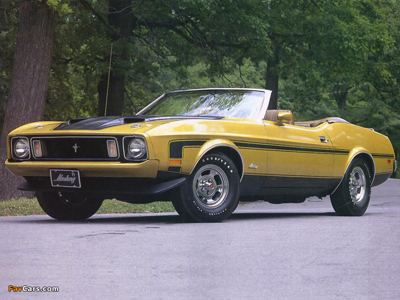 Mustang Convertible 1973 wallpapers (800 x 600)