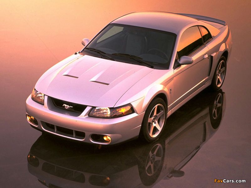 Mustang SVT Cobra Coupe 1999–2002 images (800 x 600)