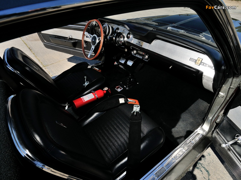 Mustang GT500 Eleanor 2000–09 images (800 x 600)