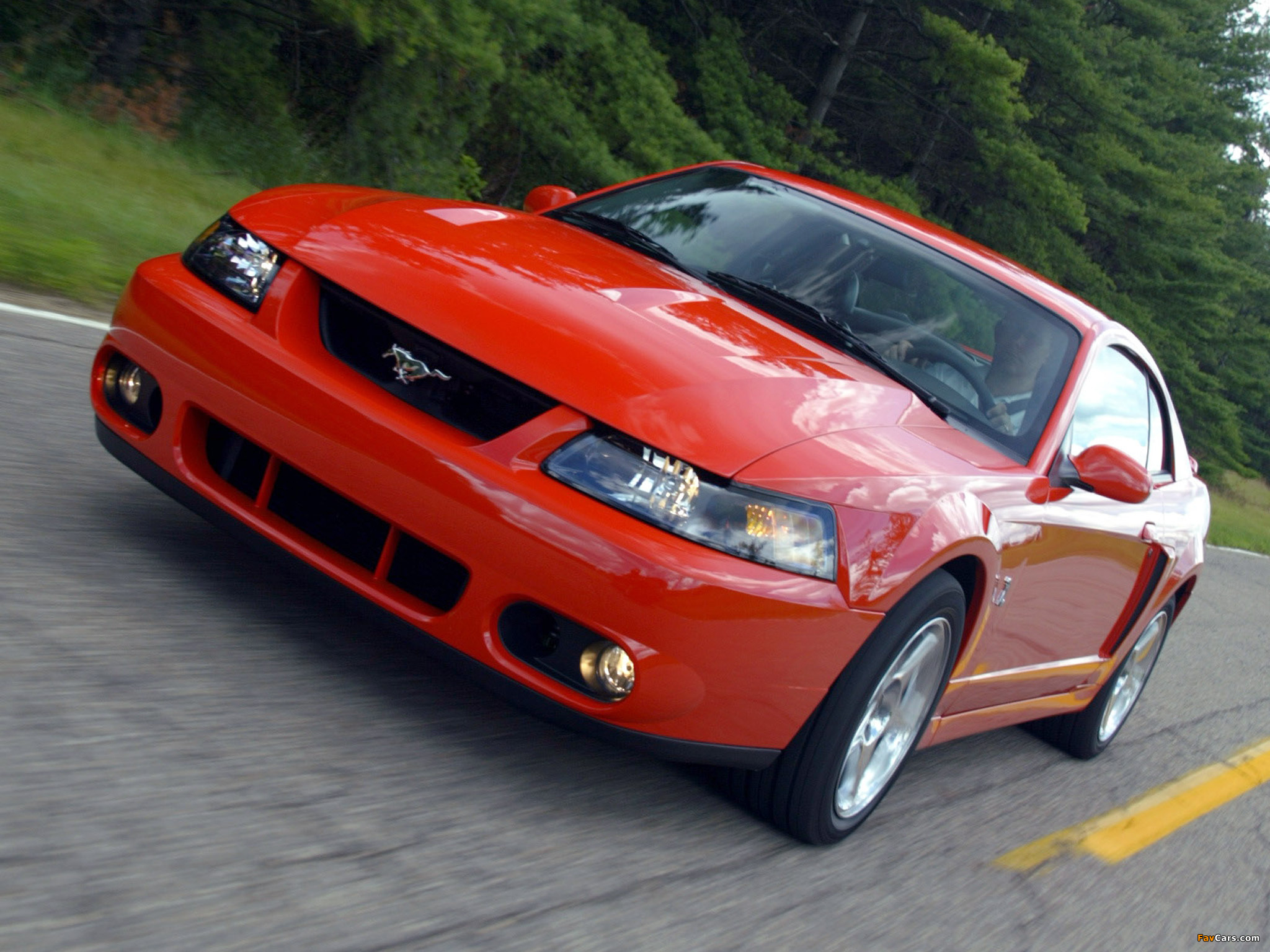Used Ford Mustang SVT Cobra For Sale - CarGurus