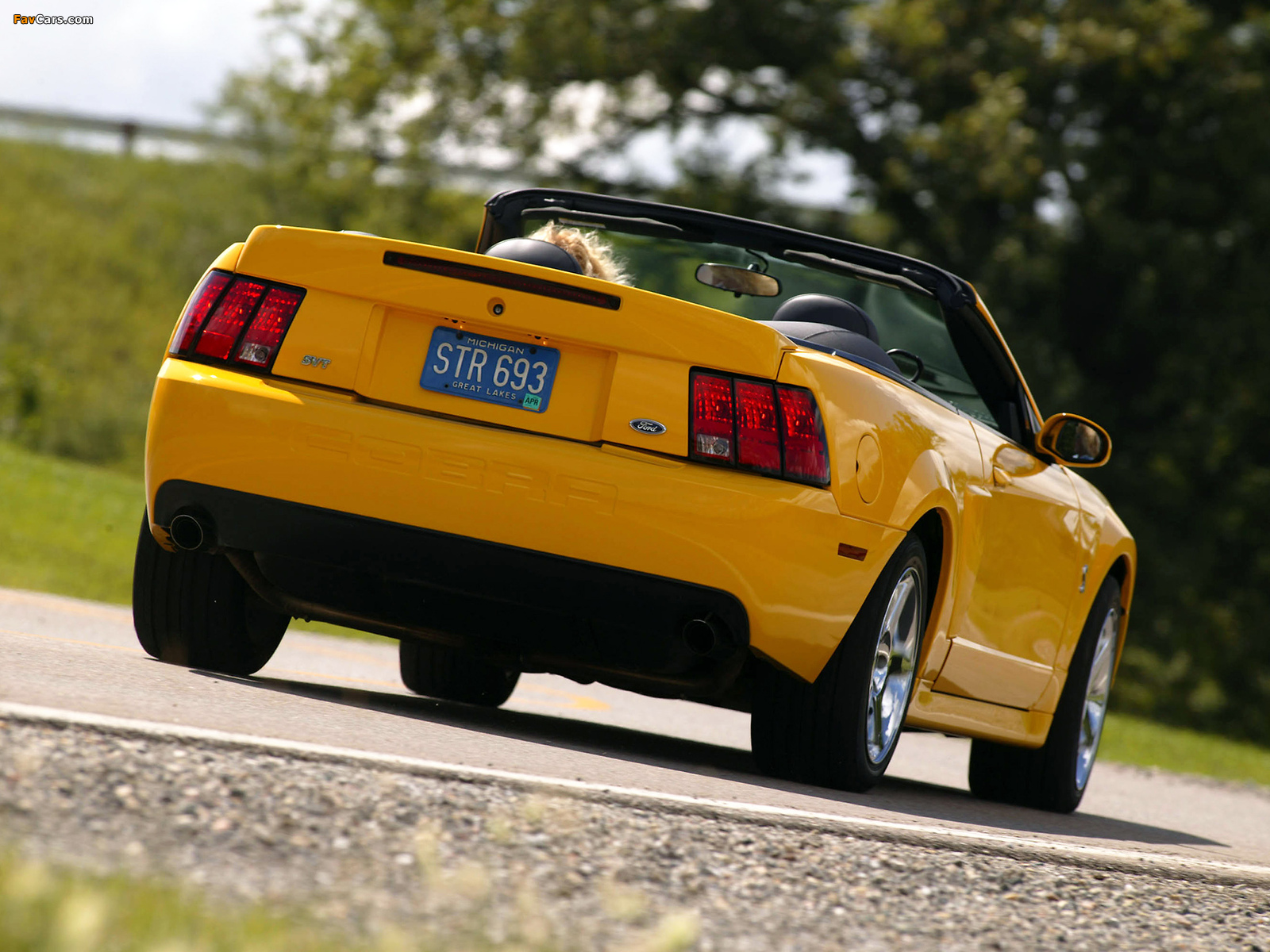 Mustang SVT Cobra Convertible 2004–05 images (1600 x 1200)