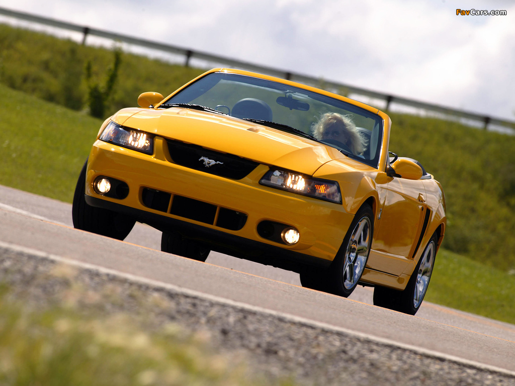Mustang SVT Cobra Convertible 2004–05 photos (1024 x 768)