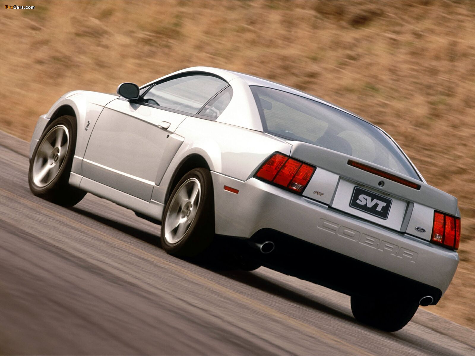 Mustang SVT Cobra Coupe 2004–05 pictures (1600 x 1200)