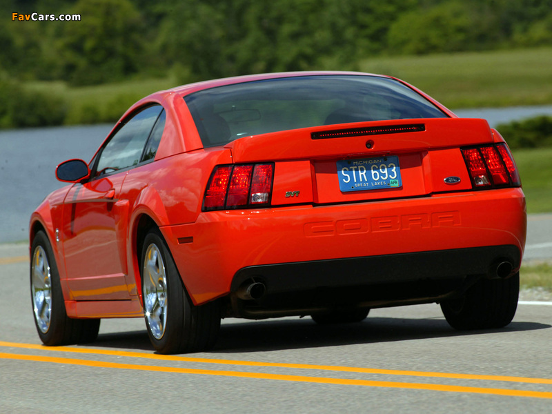 Mustang SVT Cobra Coupe 2004–05 pictures (800 x 600)