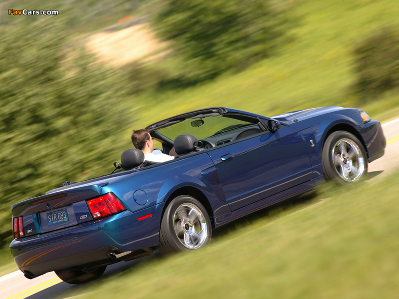 Mustang SVT Cobra Convertible 2004–05 wallpapers (800 x 600)
