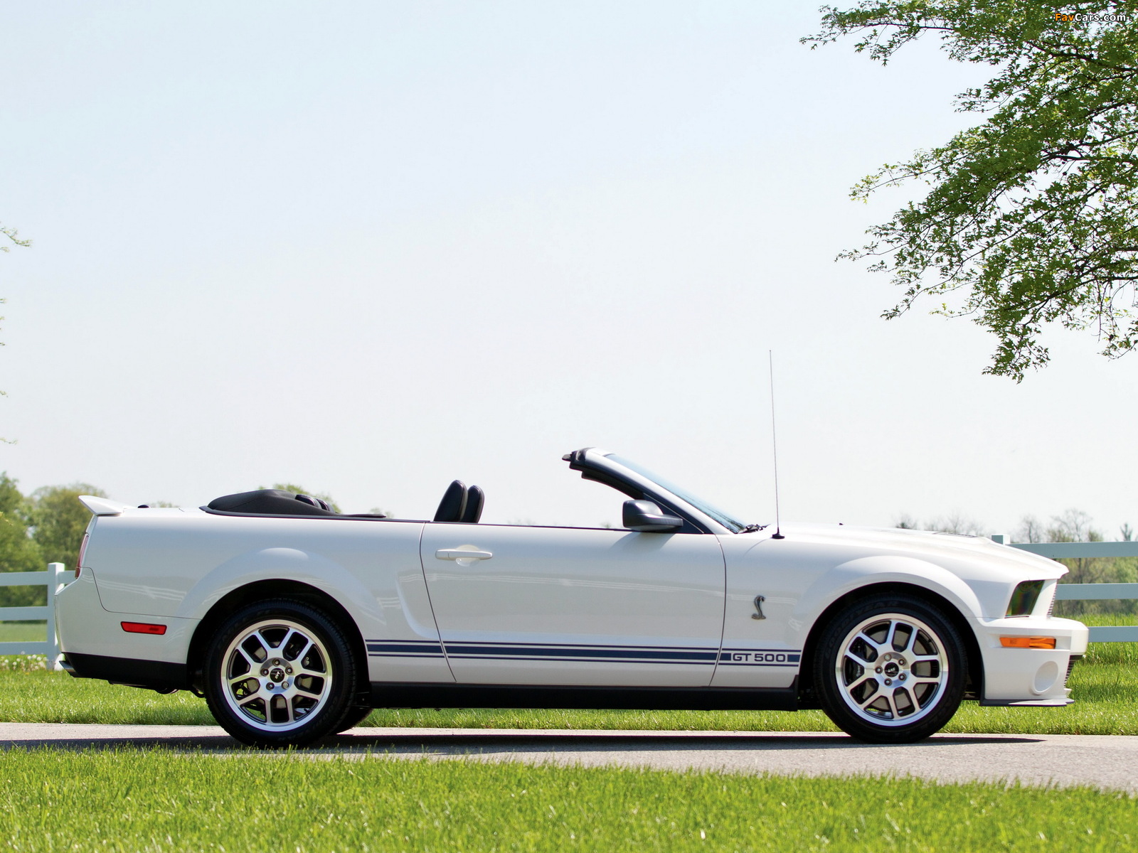 Shelby GT500 Convertible 2005–08 images (1600 x 1200)