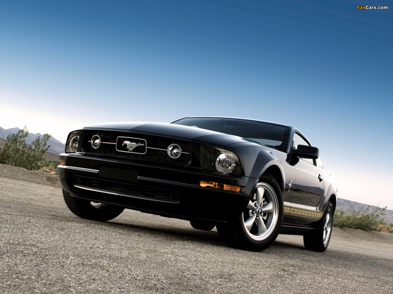 Mustang Coupe 2005–08 pictures (1280 x 960)