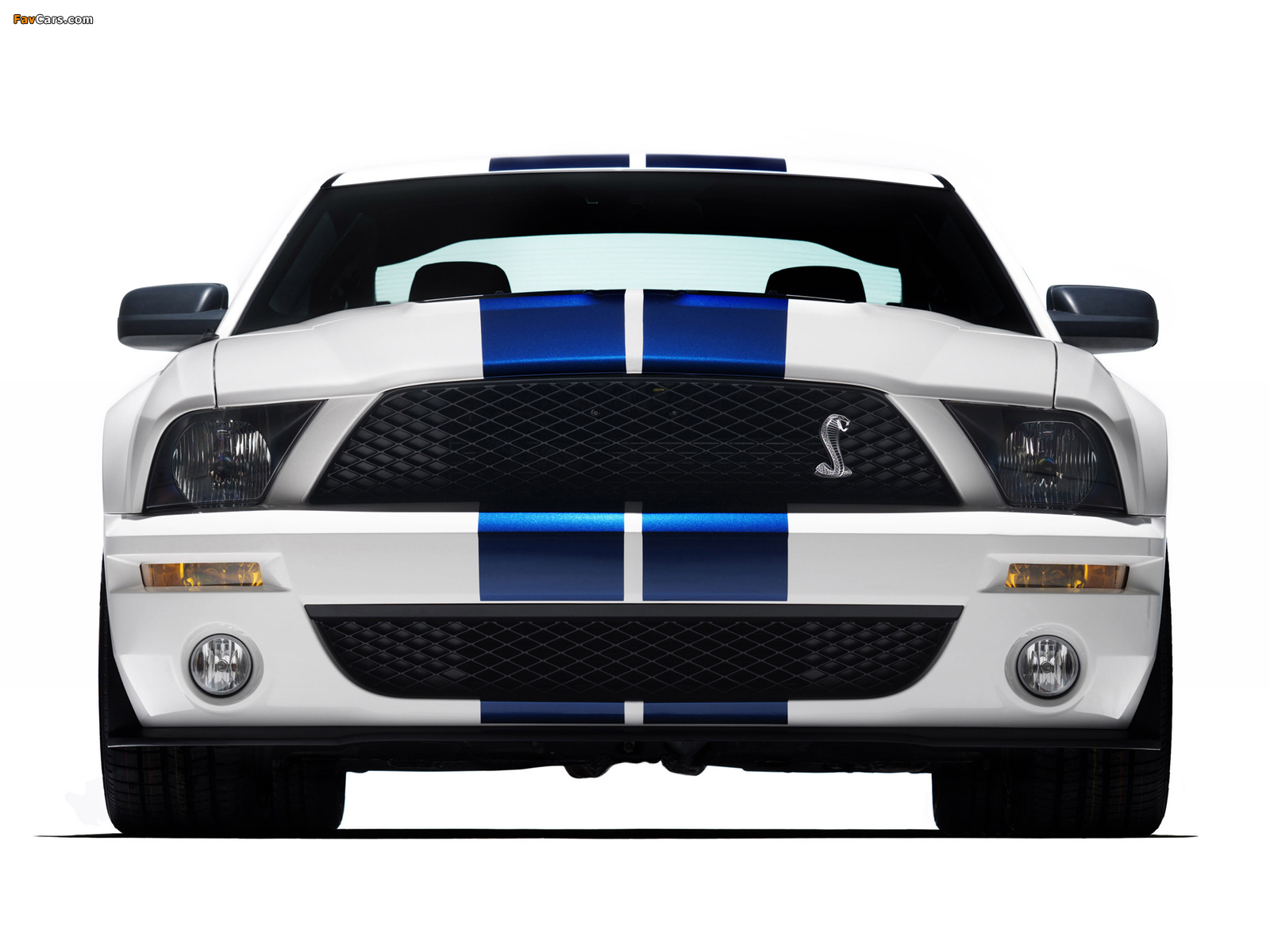 Shelby GT500 2005–08 pictures (1600 x 1200)