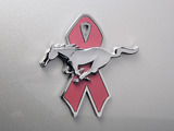 Mustang Coupe Warriors in Pink 2008 photos