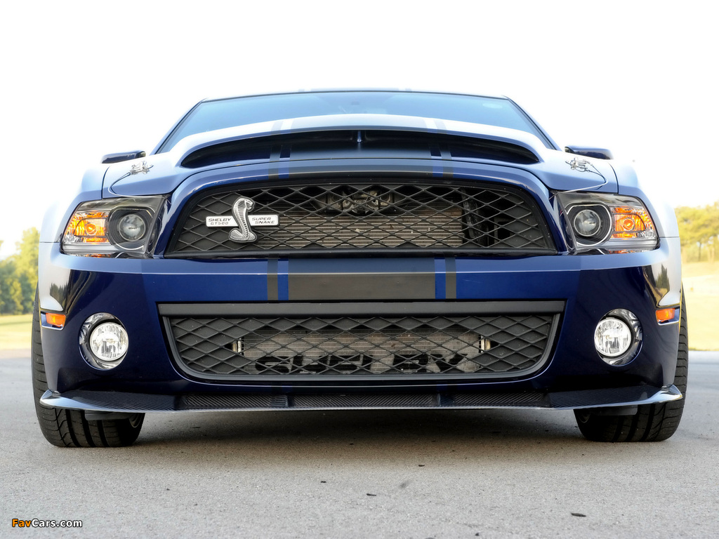 Shelby GT500 Super Snake 2010–11 images (1024 x 768)