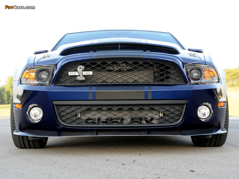 Shelby GT500 Super Snake 2010–11 images (800 x 600)
