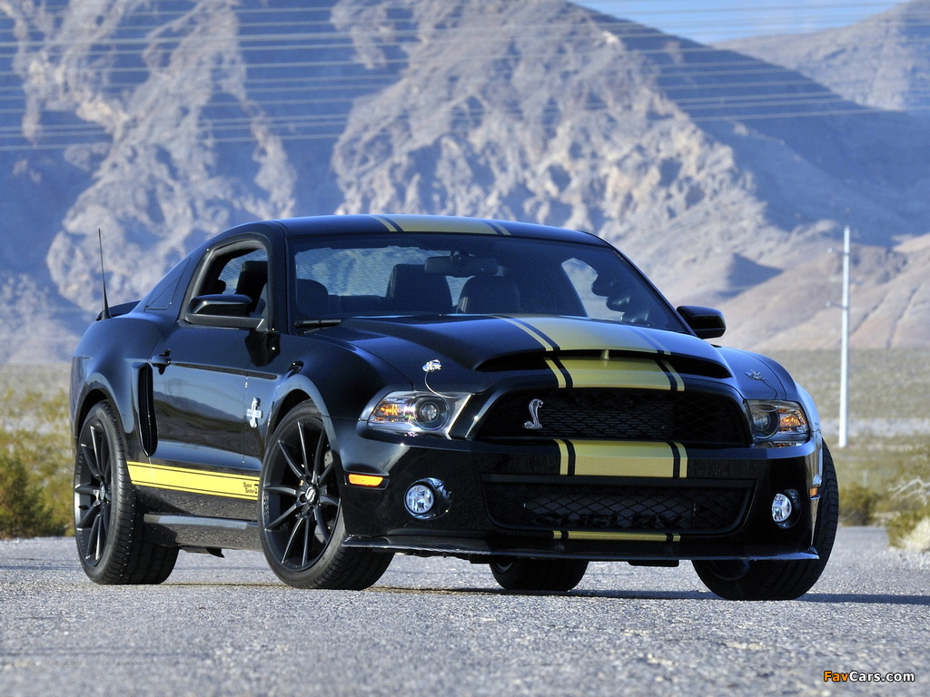 Shelby GT500 Super Snake 2010–11 wallpapers (1024 x 768)
