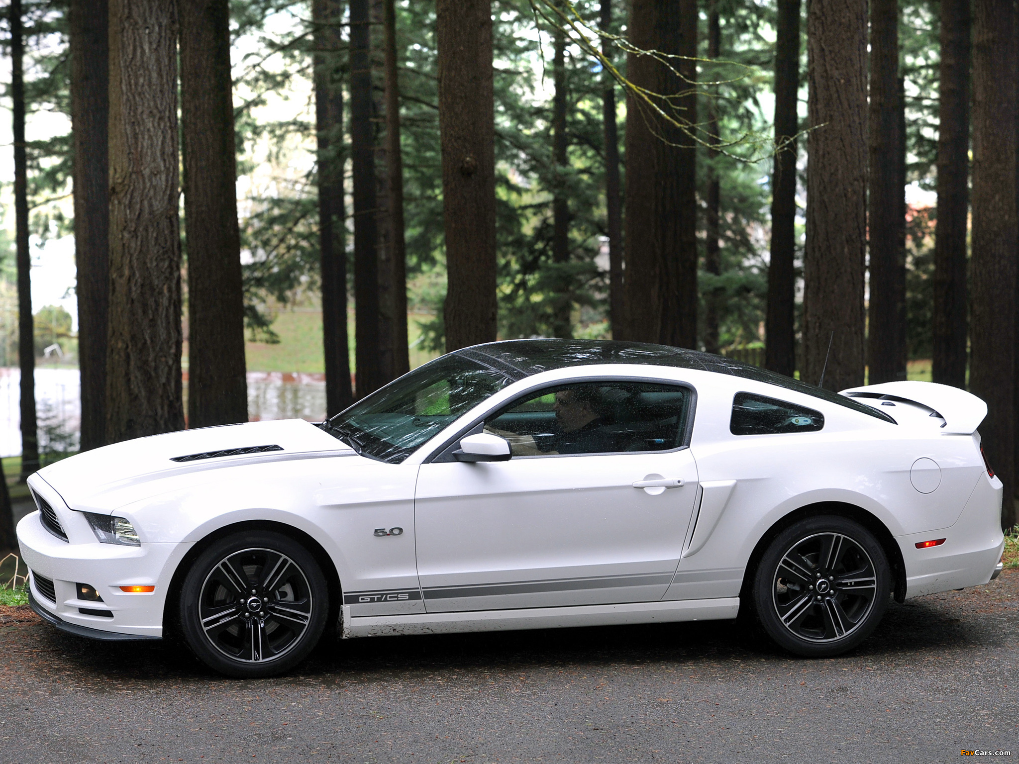 Mustang 5.0 GT California Special Package 2012 photos (2048 x 1536)