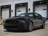 Roush RS 2013 pictures
