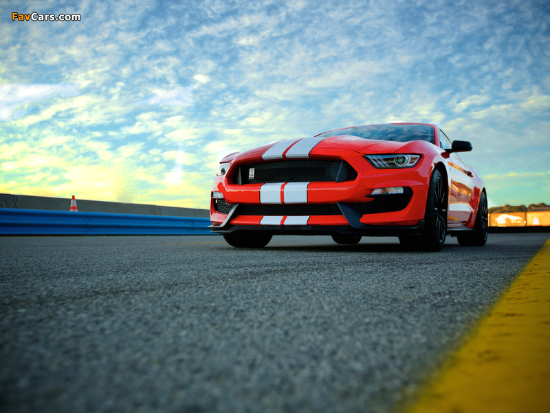 Shelby GT350 Mustang 2015 images (800 x 600)
