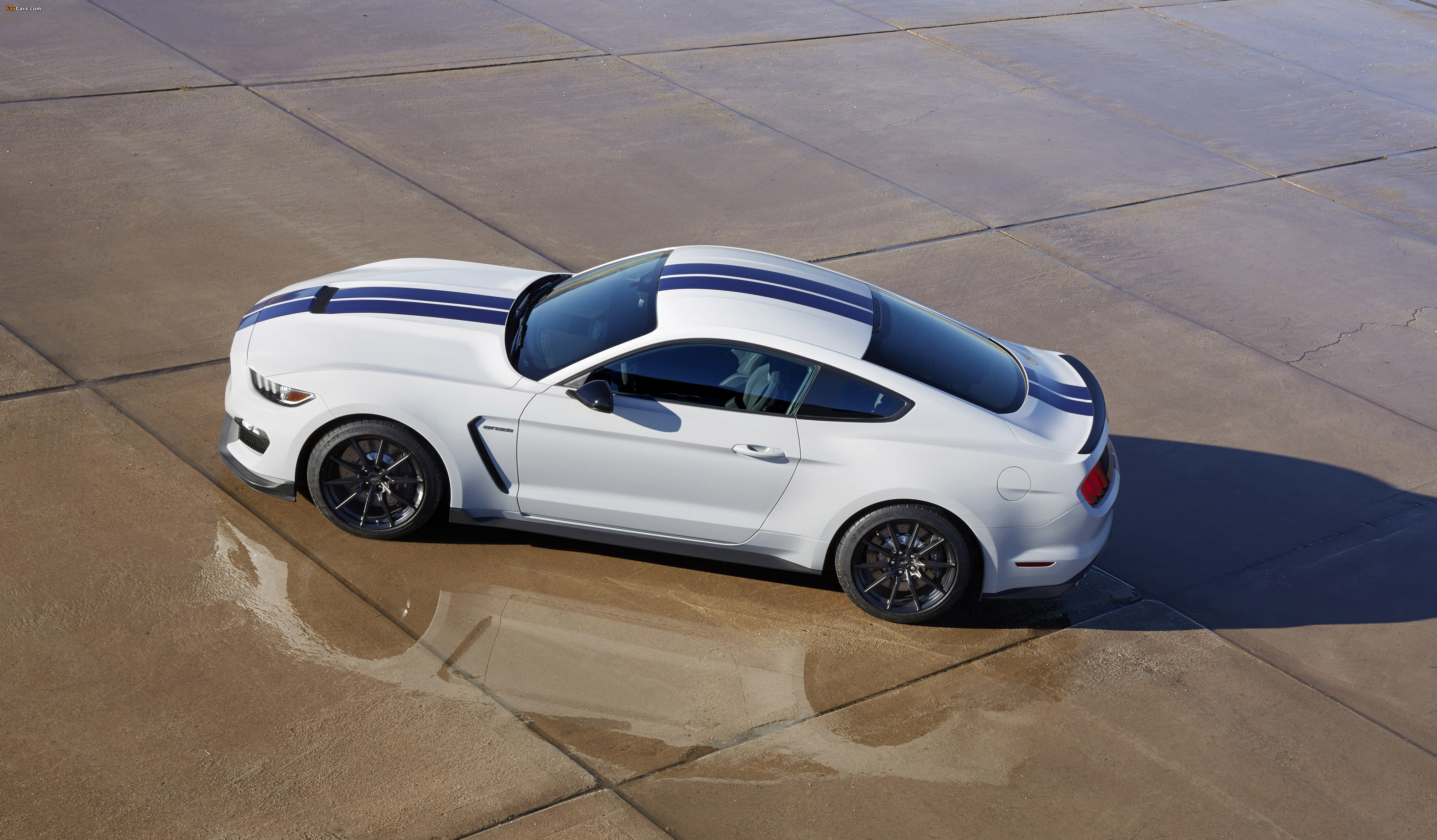 Shelby GT350 Mustang 2015 images (4096 x 2396)