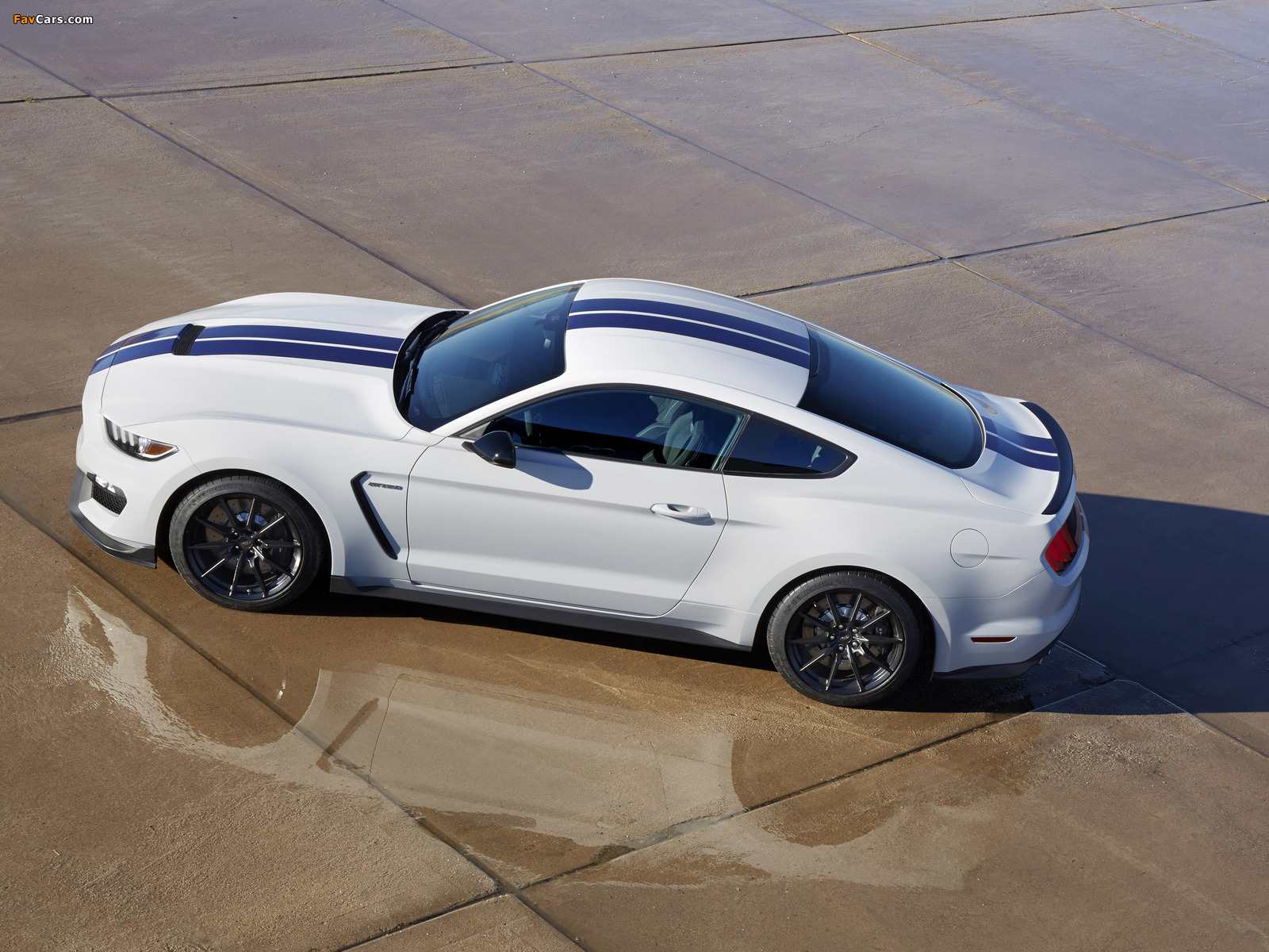 Shelby GT350 Mustang 2015 images (1600 x 1200)