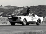 Images of Shelby GT350R 1965