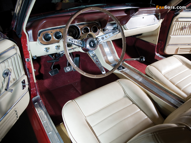 Images of Mustang GT Fastback 1966 (640 x 480)