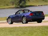 Images of Mustang SVT Cobra Convertible 2004–05