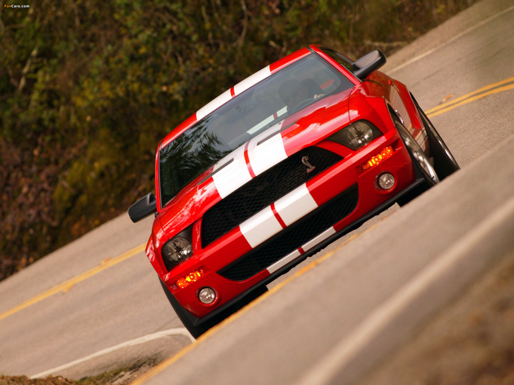 Images of Shelby GT500 2005–08 (2048 x 1536)