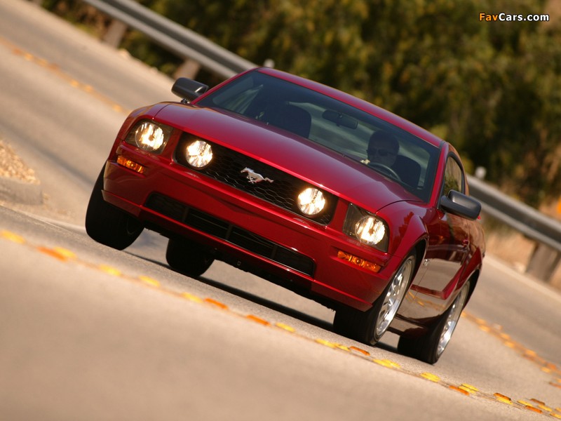 Images of Mustang GT 2005–08 (800 x 600)