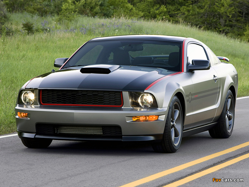 Images of Mustang AV8R 2008 (800 x 600)
