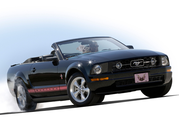 Images of Mustang Convertible Warriors in Pink 2008