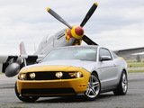 Images of Mustang AV-X10 Dearborn Doll 2009