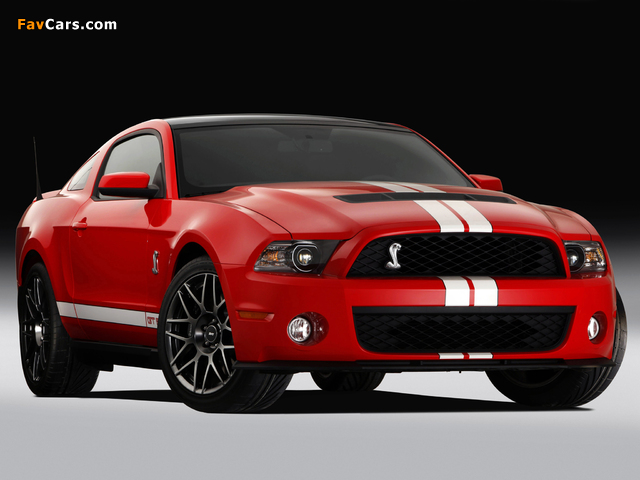 Images of Shelby GT500 SVT 2010–12 (640 x 480)