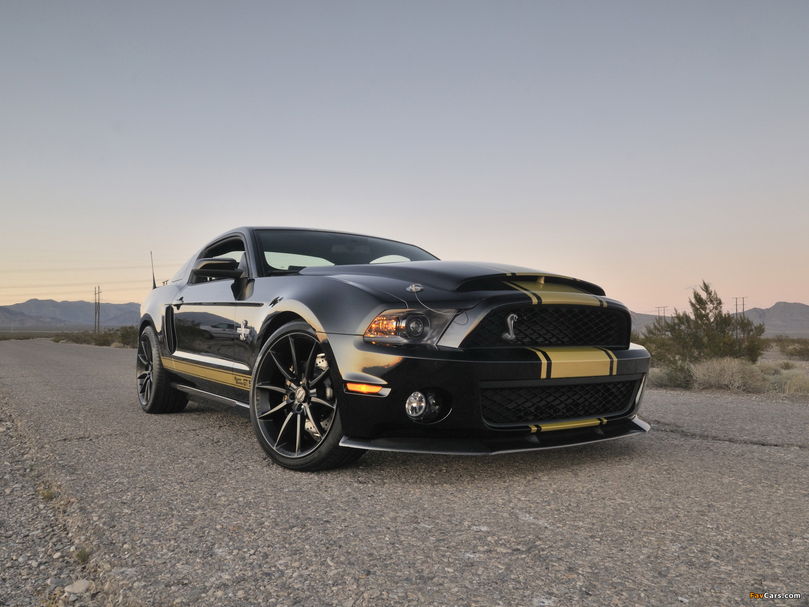 Images of Shelby GT500 Super Snake 50th Anniversary 2012 (1600 x 1200)